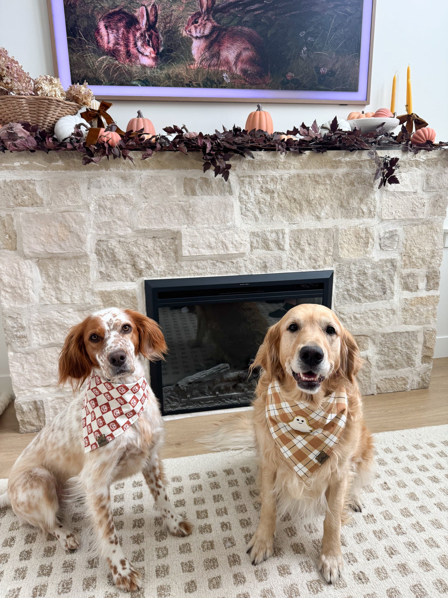 The Lonely Ghost Flannel Dog Bandana