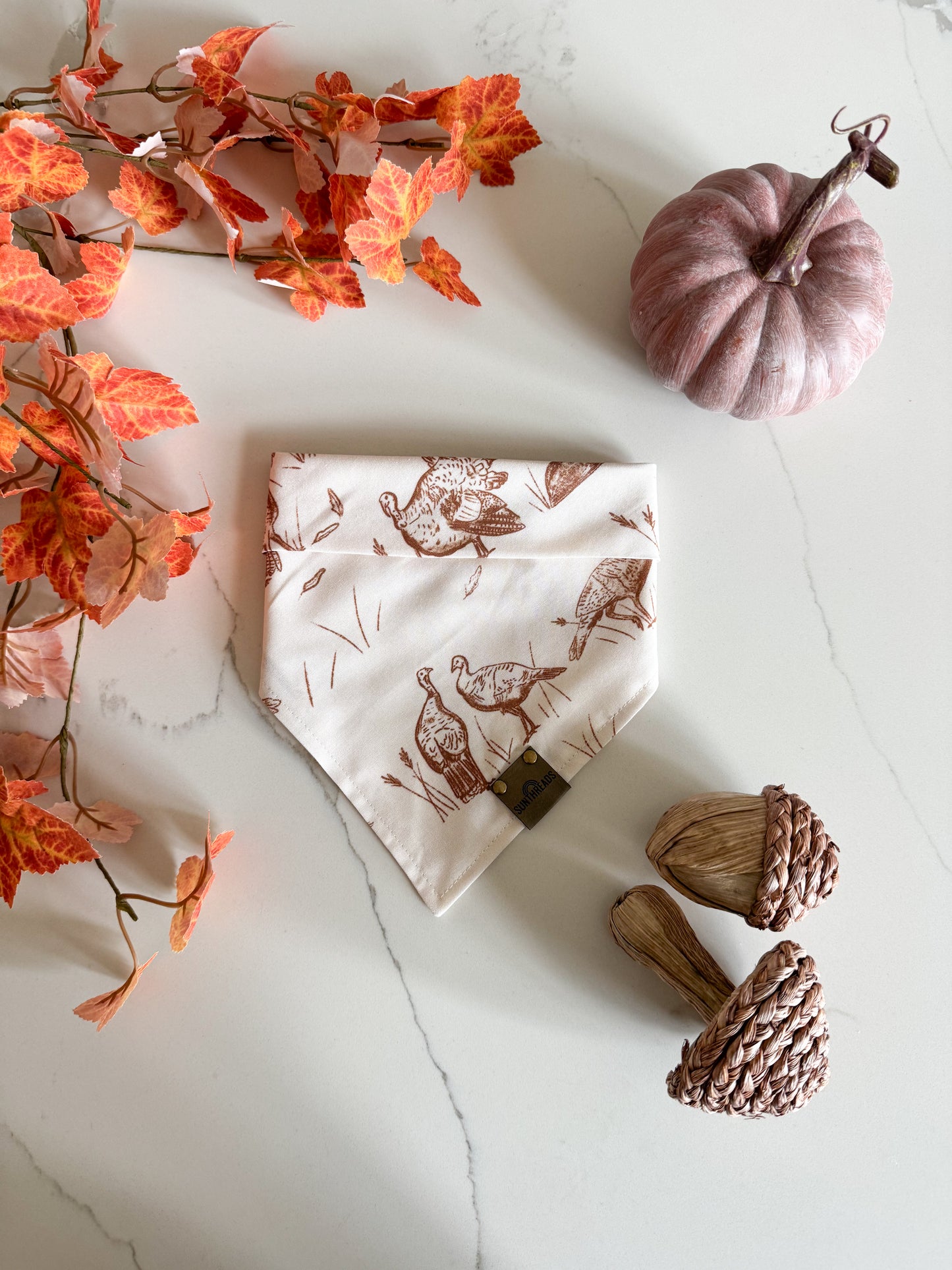 Turkey Trot Fall Dog Bandana