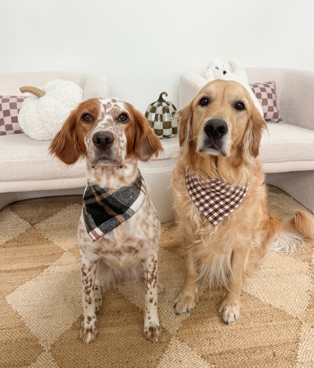 Brown Gingham Dog Bandana