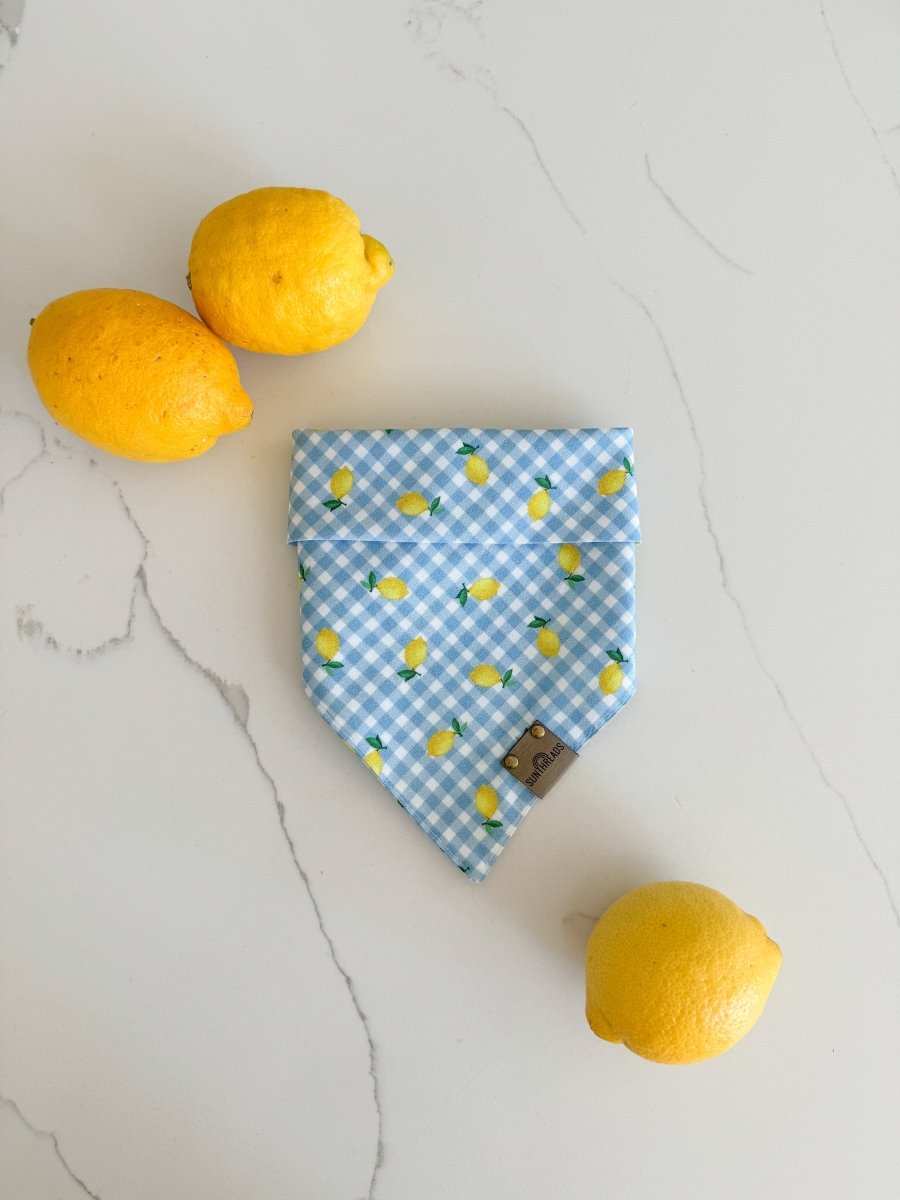 Lemon Drop Dog Bandana