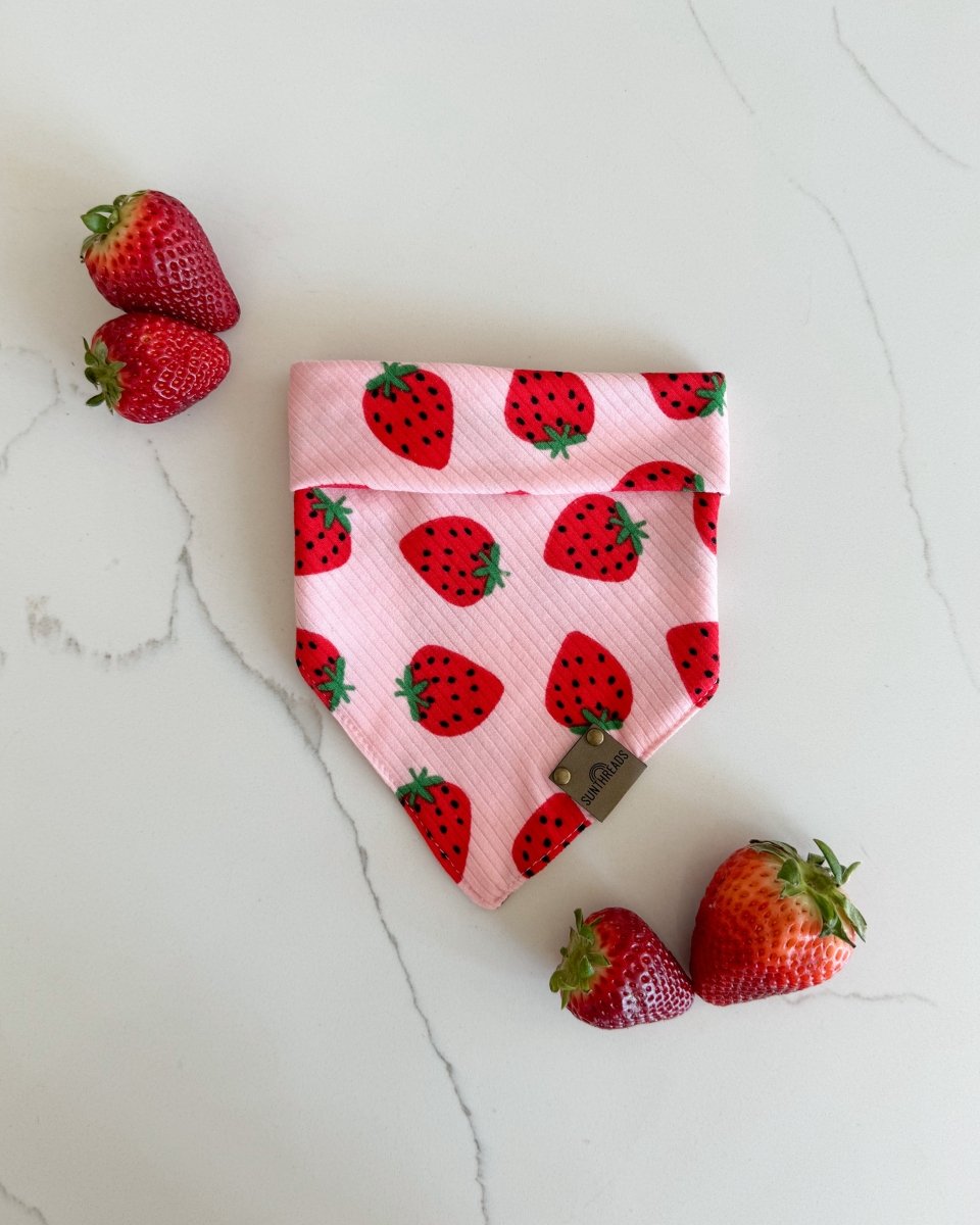 Strawberry Fields Dog Bandana