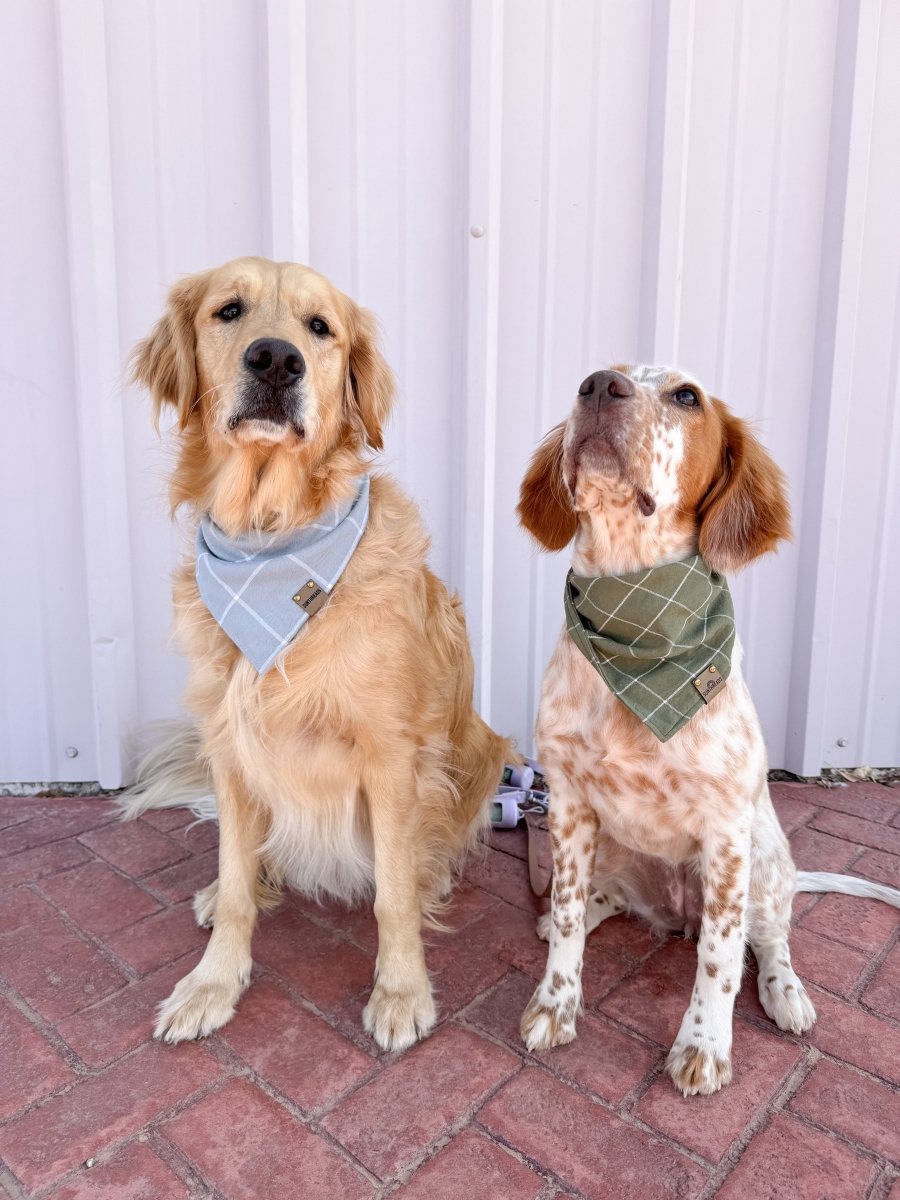 Blue Gingham Dog Bandana