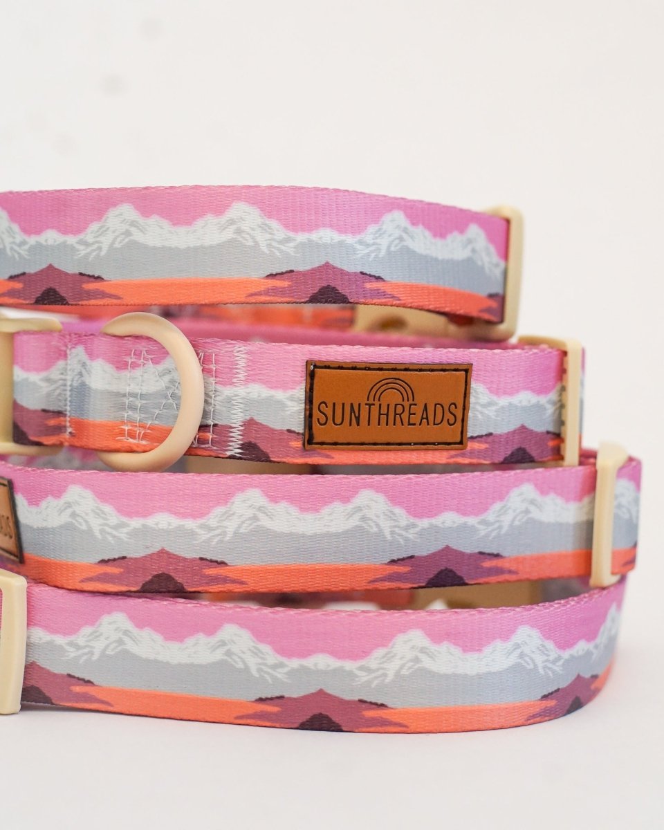 Fi Compatible Coral Sunrise Collar