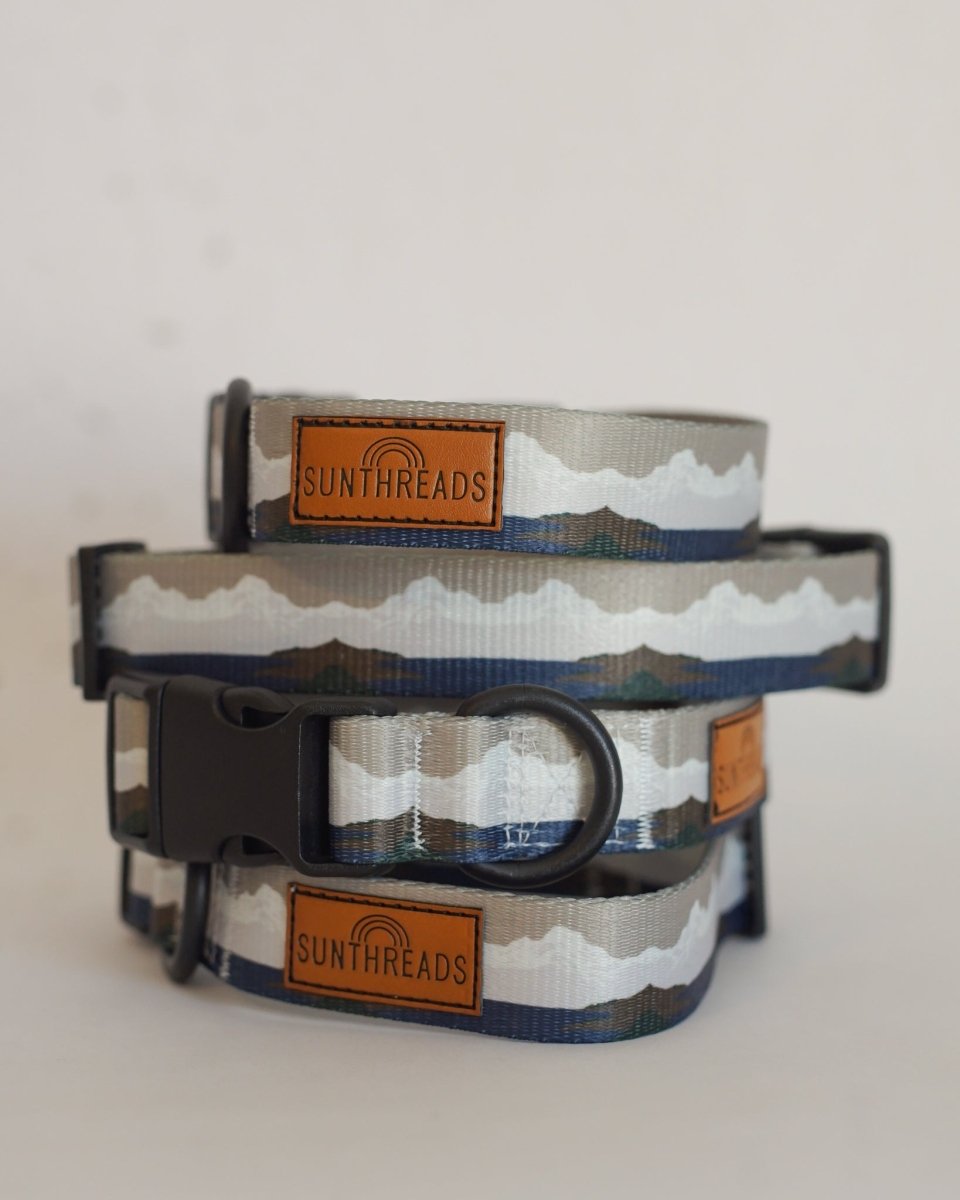 Fi Compatible Explorer Collar