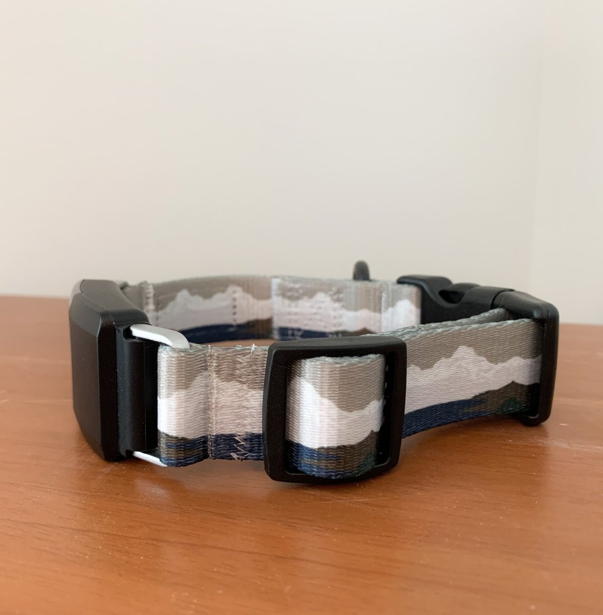 Fi Compatible Explorer Collar