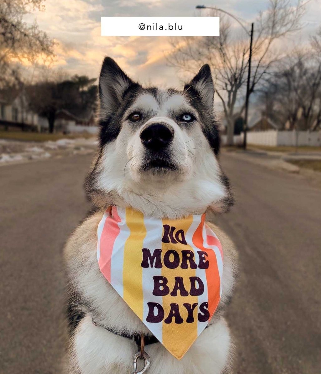 No More Bad Days