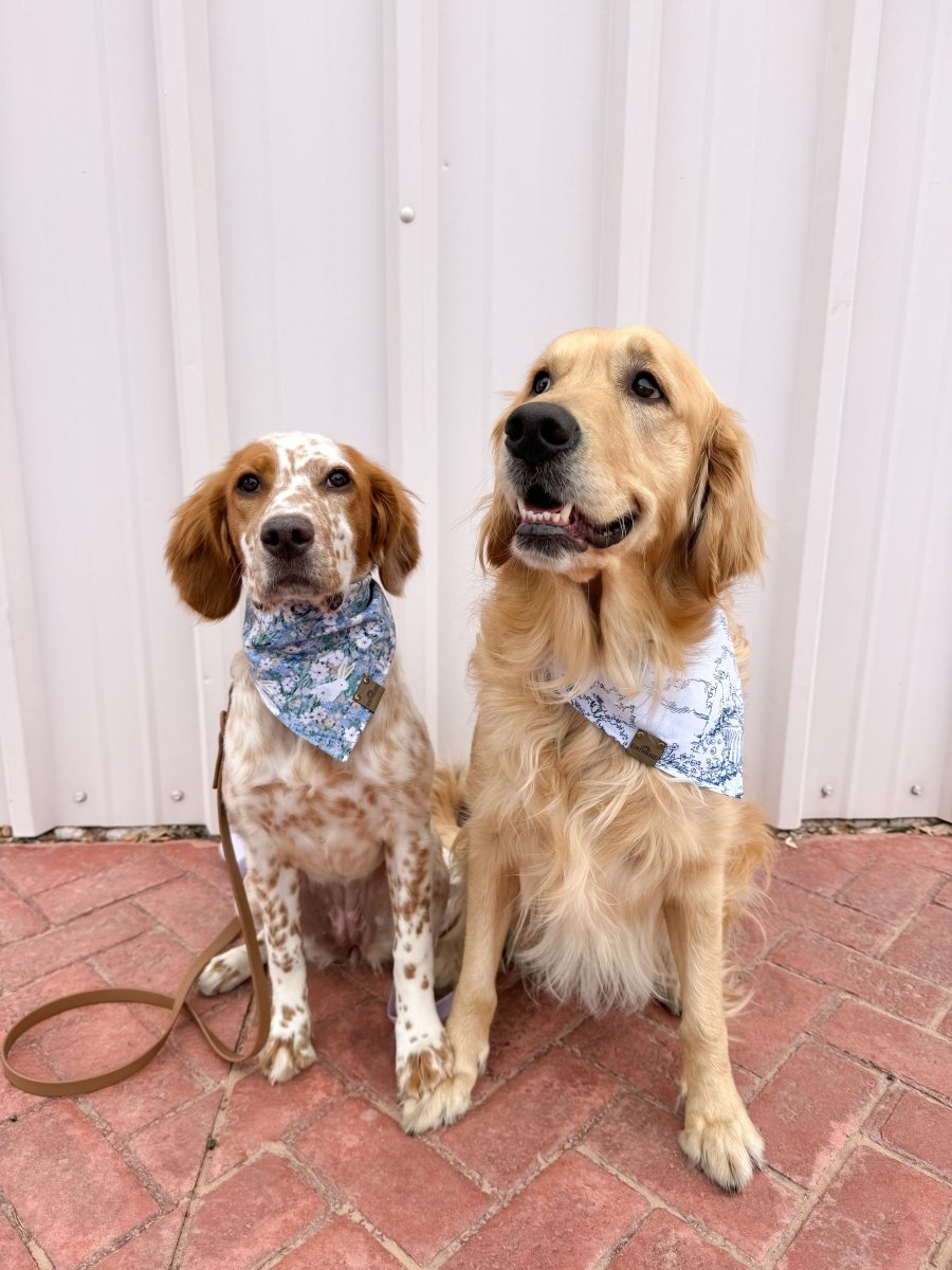 Spring Toile Dog Bandana