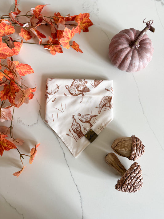 Turkey Trot Fall Dog Bandana