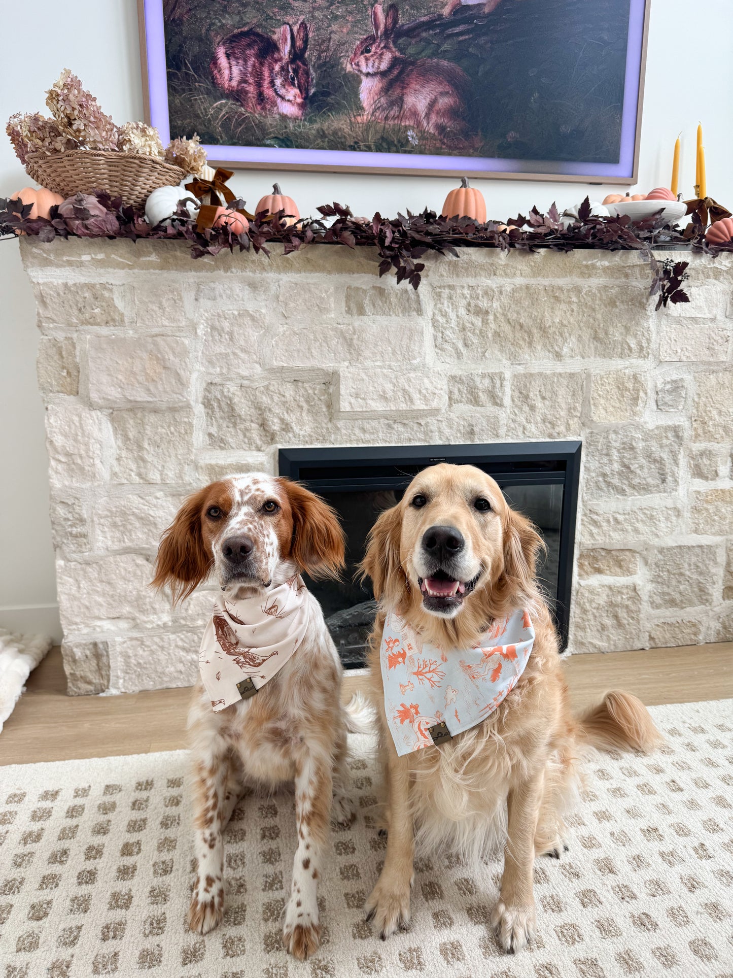 Turkey Trot Fall Dog Bandana
