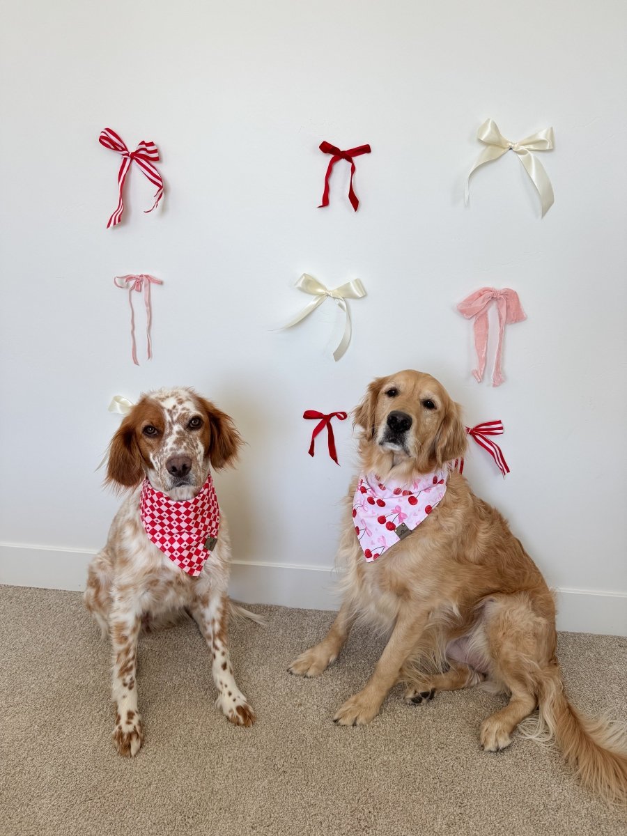 Love Letter Dog Bandana