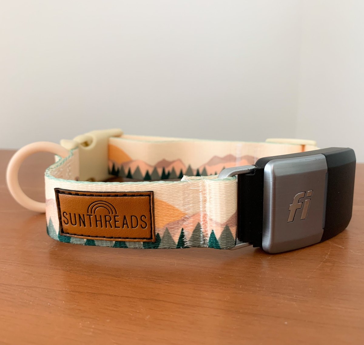 Fi Compatible Happy Camper Collar